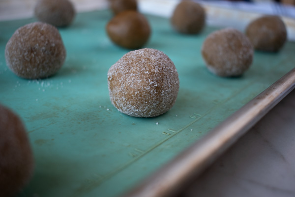 gingersnap cookie dough