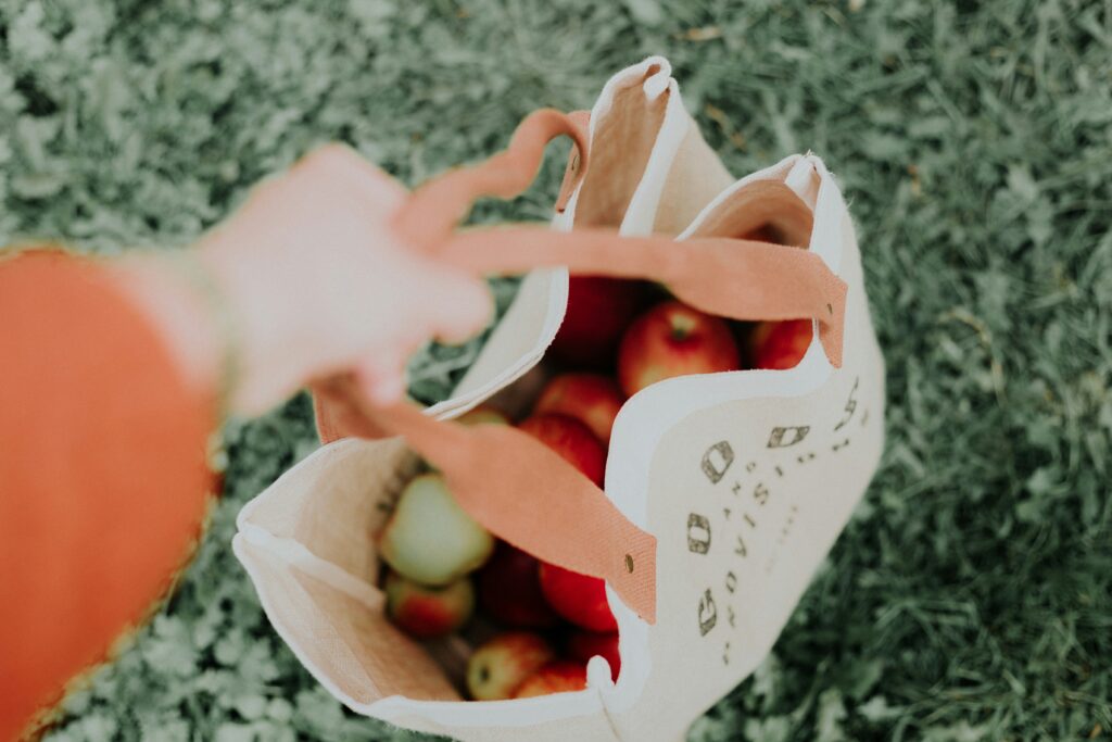 a bag of apples near some grass