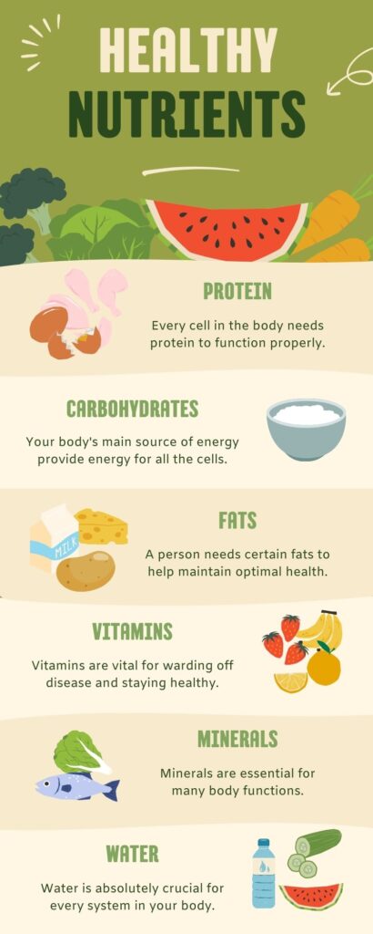 infographic of the healthy nutrients protein, carbohydrates, fats, vitamins, minerals, and water